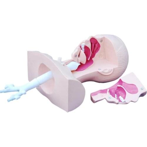 Suction Medical teaching manikin Training simulation Nursing skills