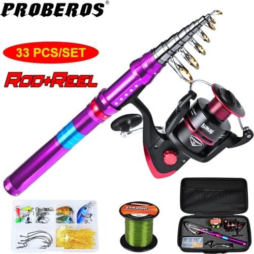 Good Quality Reel Combo Telescopic Fishing Rod Spinning Wheel Fishing Tackle Set with Line Hooks Lures 2010 Storage Bag Tool