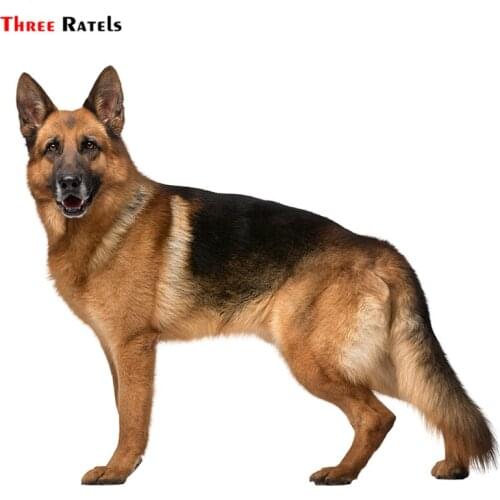 Three Ratels TZ-1735# 15x17cm German Shepherd On Board Car Stickers Funny Car Sticker Auto Decals