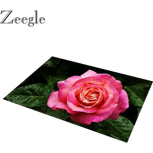 Zeegle Living Room Carpet Floor Mat Doormat Washable Bathroom Rug Shower Mat Anti-slip Outdoor Rug Hallway Carpet Foot Mat