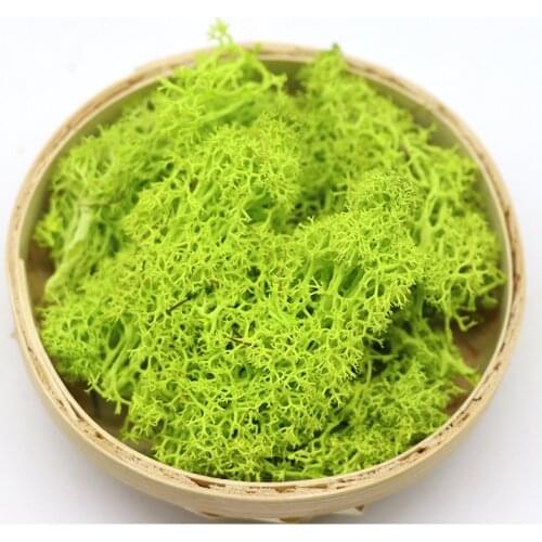 Artificial Green Plant Moss Grass High Quality Artificial Green Plant Immortal Fake Flower Home Living Room Decor Moss Grass