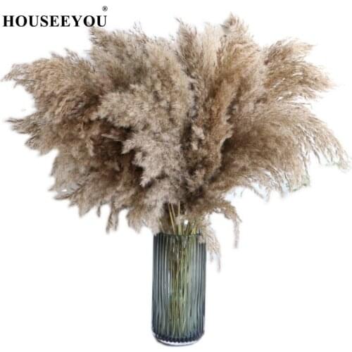 Natural Dried Pampas Grass Reed Plants Home Decor Wedding Flower Bouquet Bunch Materials Feather Phragmites
