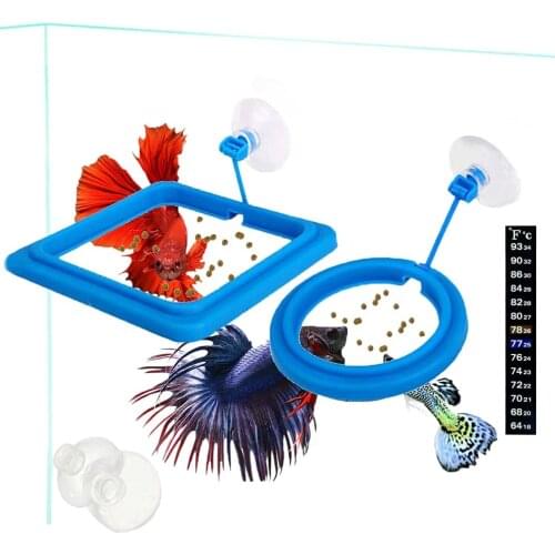 Fish Tank Feeder Aquarium Fish Feeder Feeding Ring Small Fish Tropical Peacock Feed Buoyancy Feeder