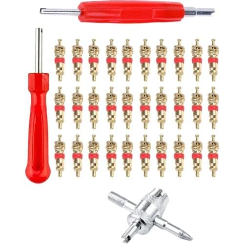 33Pcs Car Bike Tire Valve Core Tool Set for Car Bicycle Motorcycle Tire