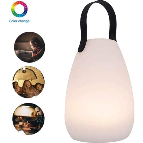 Color LED Table Lamp Indoor Lighting Bedroom Decoration Outdoor Holiday Path Garden Lawn Lamp Portable Night Lights With Remote