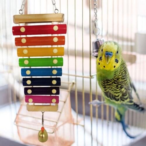 Hot Selling Chicken Xylophone Toy Durable Wonderful Gameplay For Hens Parrots Pet Toys Bird Playing toys