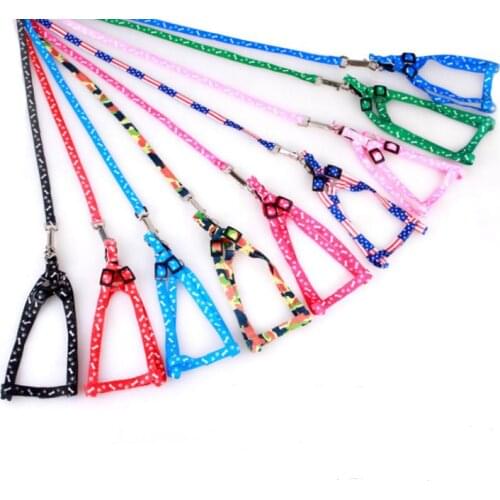 100pcs Nylon Dog Leashes Pet Puppy Training Straps for Small Dogs Cat Nylon Nylon Dog Leashes Pet Puppy Training Straps SN1975