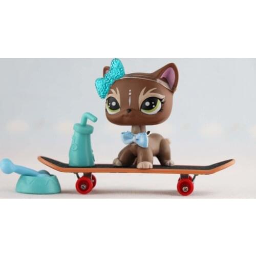 Pet Shop Shorthair Cat Chocolate Brown Dog Puppy with Accessories