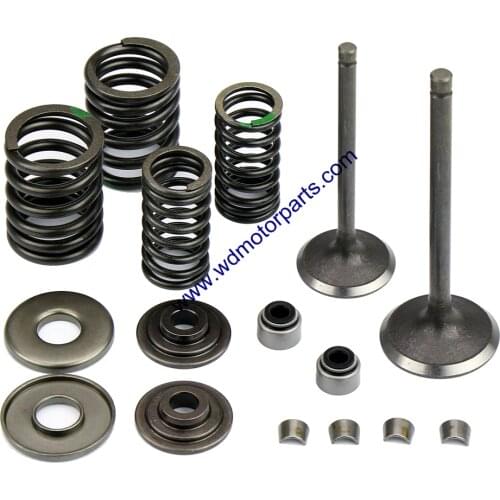 Xingyue Gsmoon 260cc XYKD260-1 XYKD260-2 Valve Kit Buggy Go Kart Parts
