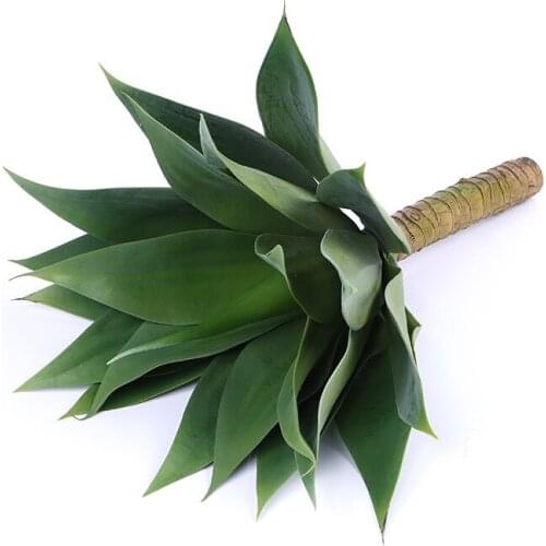 55cm Artificial Rare Agave Plants Indoor Plastic Branch Tropical Fake Green Leaf Garden Balcony Office Hotel Home Desktop Decor