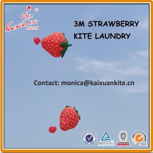 3m Strawberry Line Laundry, inflatable show kite from Weifang kaixuan kite factory