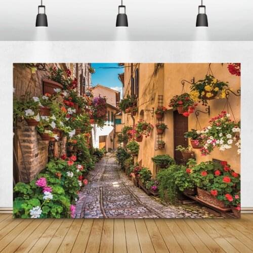 Laeacco Photography Backdrop Old Town Potted Flowers Alley Passage Scenic Photographic Background Stone Road For Photo Studio