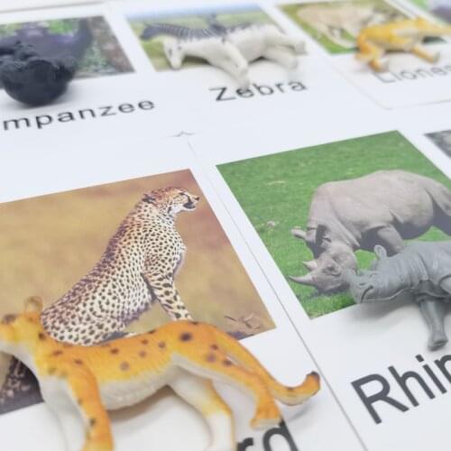 Animal Match Cards Montessori Materials Practical Life Learning Educational Toys For Children 4 Years Language Materials Toys