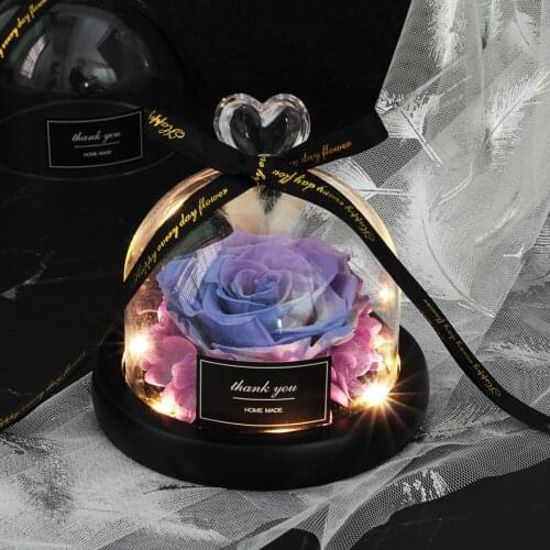 Beauty and the Beast Rose Save Valentines Day Gift Exclusive Glass Rose Dome Light Timeless Real Rose Mothers Day Gift