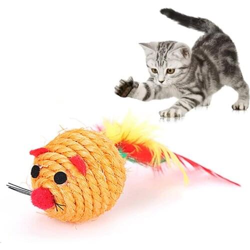 1pc Cute Cat Sisal Toy Creative Funny Pet Interactive Chase Toy Mouse Toys For Kittens Cats Pet Supplies Random Color
