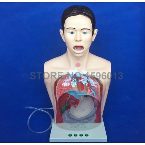 Transparent Gastric Lavage Simulator, Nasal Feeding,Suction,Tracheostomy Care Nursing Training Dummy,Gastrolavage Simulator