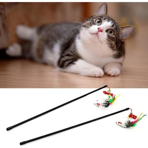 Feather Stick Portable Mouse Shape Plastic Interactive Cat Teaser for Indoor