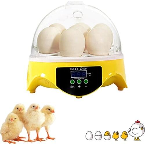 Mini 7 Eggs Incubator Poultry Incubator Brooder Digital Temperature Hatchery Automatie Hatcher Chicken Duck Bird Pigeon 110/220V