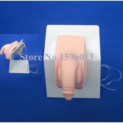 HOT Male Catheterization Training Simulator,Urethral Catheterization Model, Nursing model