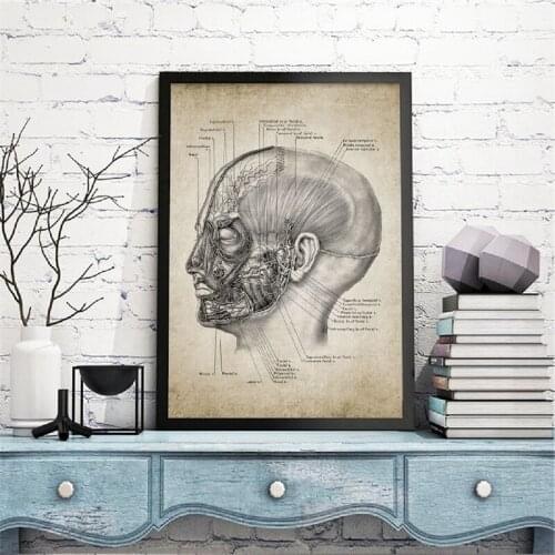 Head Anatomy Medical Wall Art Canvas Posters Prints Vintage Human Head Illustration Painting Wall Picture Doctor Office Decor