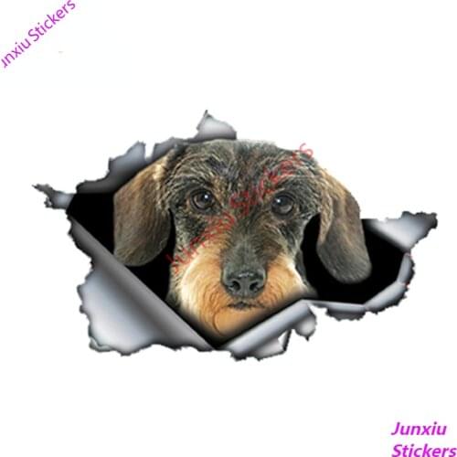 Wire Haired Dachshund Car Sticker Torn Metal Decal Reflective Sticker Bumper Camper Waterproof Car Styling Accessories PVC13x8cm