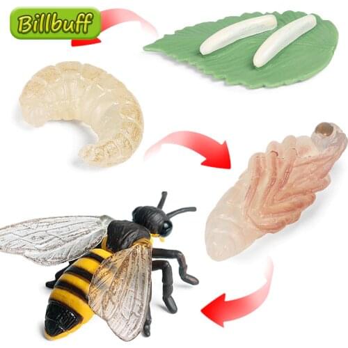 New Insect Animal Model Simulation Bee Growth Cycle Action Figures Collect Miniature Cognition Educational Toy for children Gift