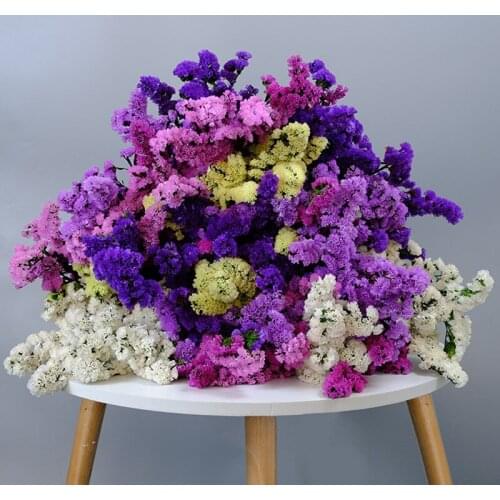 1 Bunch Real Natural Plant Myosotis Sylvatica Decoration Grass Dried Flowers Wedding Party DIY Scrapbook Bouquet Eternal Floral