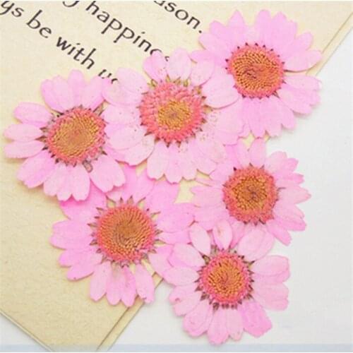 2019 newest Colorful chrysanthemum Dried flower bookmark material free shipment 1 lot/120pcs