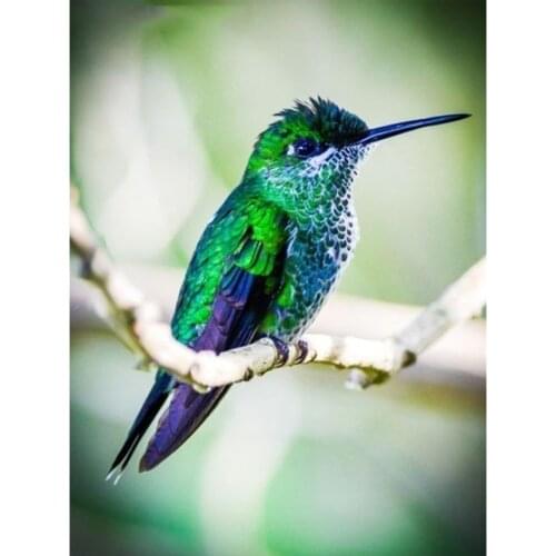 5D DIY Diamond Painting Bird Flower Daffodil Cross Stitch Kit Full Drill Embroidery Mosaic Art Picture of Rhinestones Home Decor