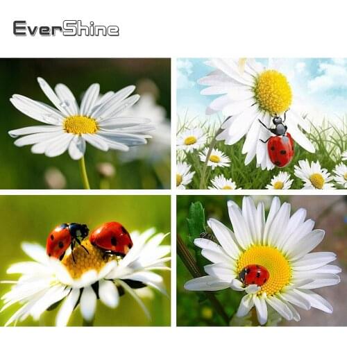 Evershine Diamond Painting Flowers Full Square Rhinestone Mosaic Embroidery Daisy Cross Stitch Crystal Painting Home Decoration