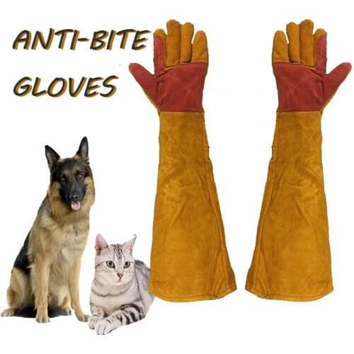 Mandopet Dog Care Products