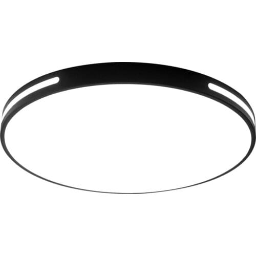 Ceiling lamp bedroom lamp living room lamp dining room lamp