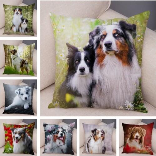 Australian Shepherd Dog Pillow Case Covers Decor Pet Animal Cushion Cover for Sofa Home Super Soft Short Plush Pillowcase 45*45