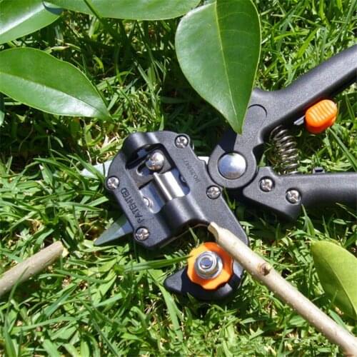 Daswinele Appliances For Fruits And Vegetables