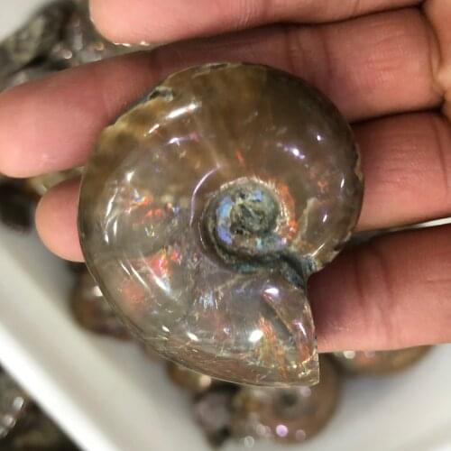 Natural fossils for you, natural colorful luo can heal family treatment