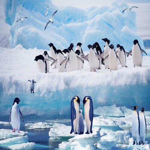 Dropshipping Colomac Custom Wallpaper Kids Ice And Snow Penguin Wallpaper Bedroom Foto Mural Living Room Behang Voor Muren 3D