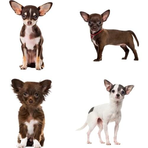 Three Ratels QC388 Dogs Wall Sticker home decoration accessories for living room car sticker