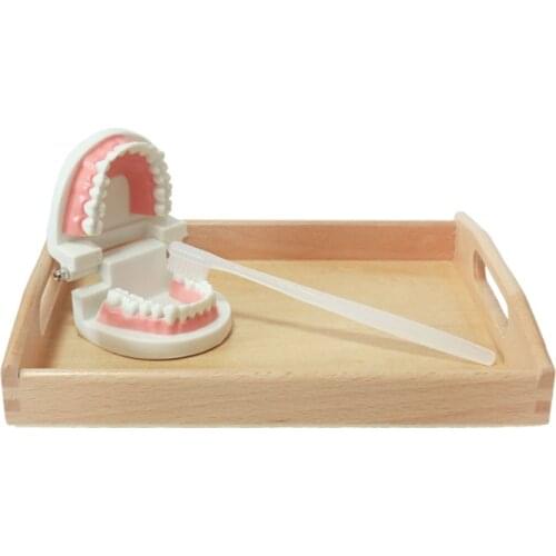 Montessori Brushing Teeth Practical Life Material with Tray Montessori Educational Toys For Children Juguetes Montessori ML1064H