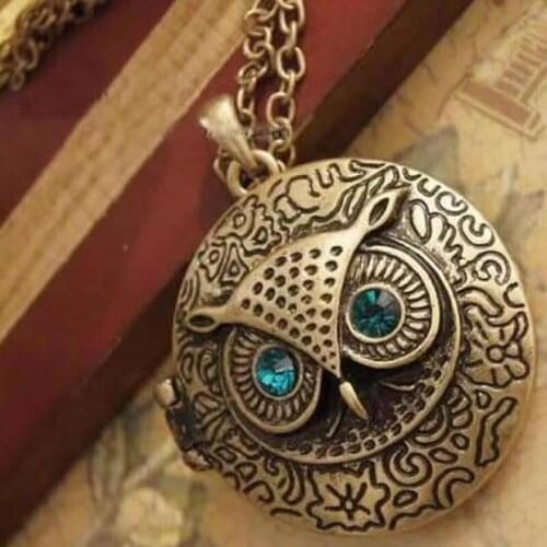 Owl Expanding Photo Locket Necklace Nighthawk Gothic Photo Box Collar Openable Necklaces Pendant For Men Women Jewelry Gift