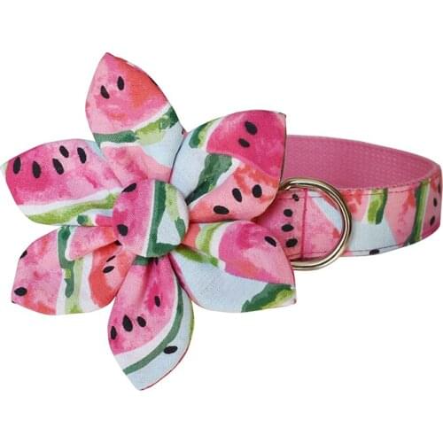 Fruit 04 Individual Customized Nameplate Engraved Flexible Dog Collar For Small Medium Large Pink Bottom Watermelon