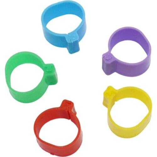 Chicken Rings Inner Diameter 1.6cm Foot Ring Without Text Label Buckle Poultry Leg Chick Duck Goose Animal Identification Tool