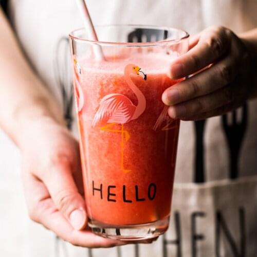 Glass Cup INS Net Red Portable Bottle Womens Korean-Style Simple Fresh Flamingo Large Capacity Breakfast Milk Cup coffee mug
