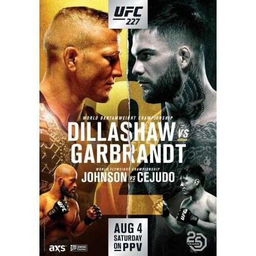227 Fight - Dillashaw VS Garbrandt, Johnson VS Cejudo Art Film Print Silk Poster Home Wall Decor 24x36inch