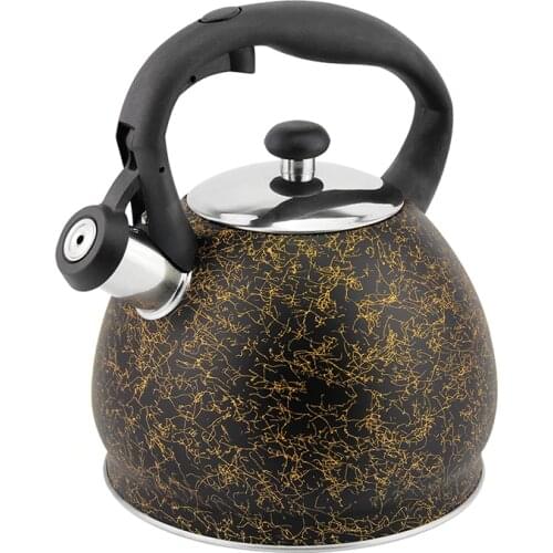 HAUSROLAND Kitchen Induction Kettles