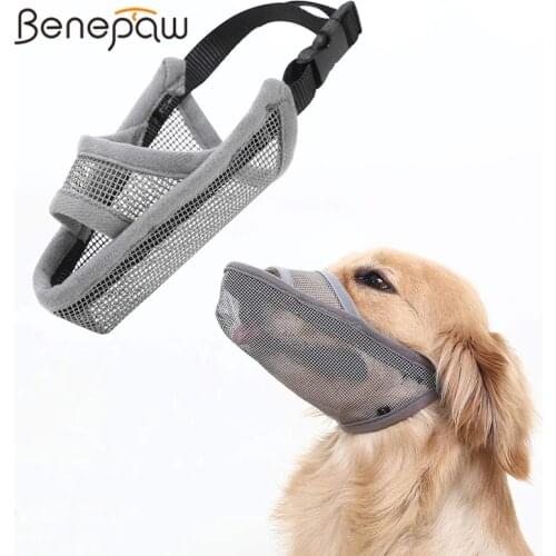 Benepaw 