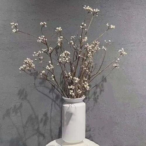 10pcs Natural Dried Ginkgo Fruit Bunch Dried Mushroom Grass Flower for Party Home Decor No Vase