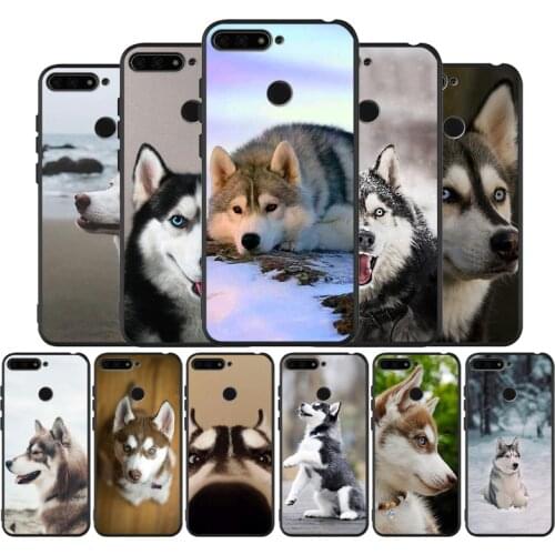 Husky dog black Silicone Phone Case For honor 30 20 Pro 8 8X 9 10 20 Lite Mate 10 20 30 Lite Pro cover