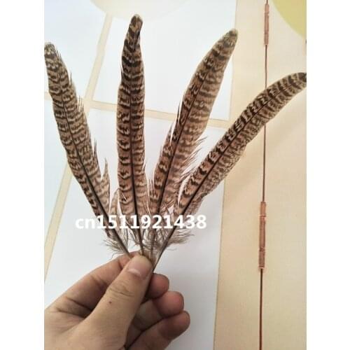 Wholesale beatiful high quality 10pcs rare natural pheasant feathers 15-20cm / 6-8inch decorative diy Jewelry accessories