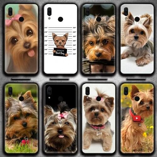 Yorkshire Terrier Dog Phone Case Huawei Y6P Y8S Y8P Y5II Y5 Y6 2019 P Smart Prime Pro