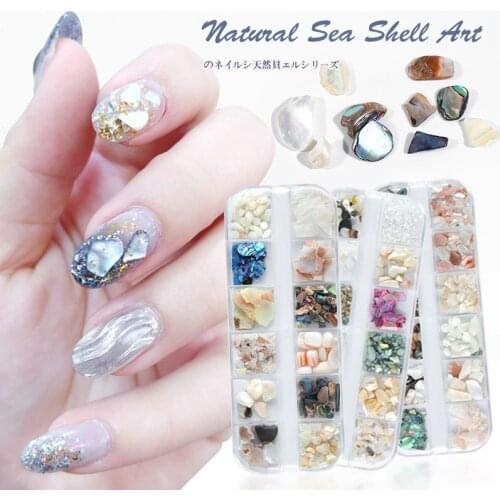 Nail Arts Shells For Nail design Fragments Texture Natural Sea Shell 3D Nail Colorful Flakes Manicure Nail Sequins Paillette